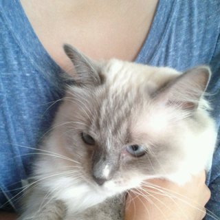 沢山のお問合せありがとうございます。