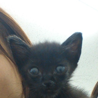 甘えっこでマイペースです。