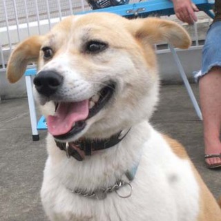 小さめ1歳ちゃろちゃん