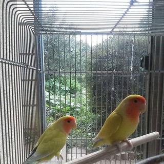 メッセージくださった方ありがとうございました。