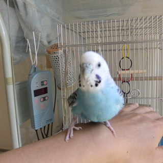 お問い合わせいただいた方、ありがとうございました。