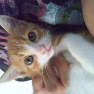 可愛い男の子です!!