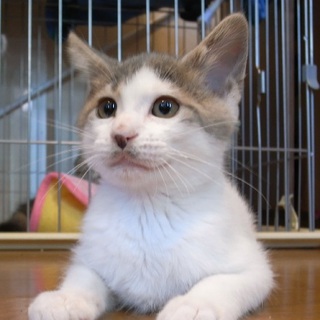 甘えん坊のイチローくん