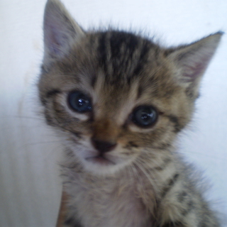 いいご家族にめぐりあえました！ありがとうございます！