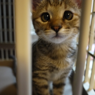 良いご縁に出会えました。　ありがとうございました！