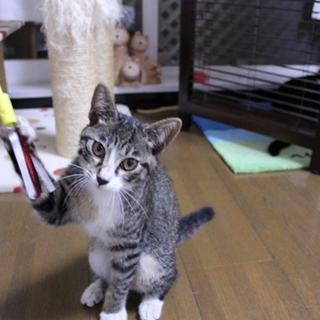 4ヶ月女の子です