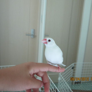 お問い合わせ頂いた方有難うございました。