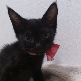 優しい家族が出来ました♪