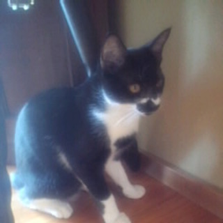 可愛がってくださる方至急募集します！