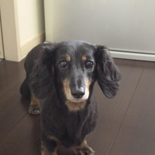 ありがとうございます。