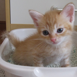 ありがとうございました！！