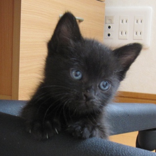 ありがとうございました！！