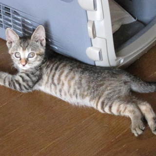 ありがとう良縁に恵まれました！