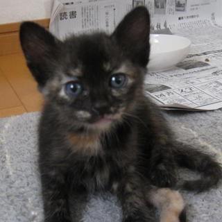 ありがとうございました！！