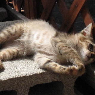 良縁に恵まれました！