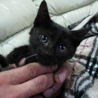 良縁に恵まれました！