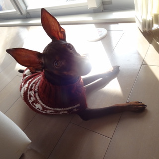 ありがとうございました