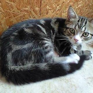 おかげさまで決まりました