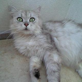 おかげさまで決まりました