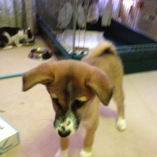 ありがとうございました。