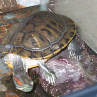 ありがとうございました！！