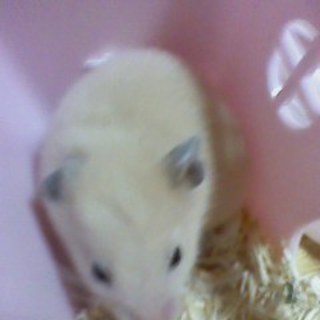 ご応募ありがとうございました！