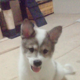 ありがとうございました。