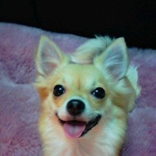 辞退致しました。