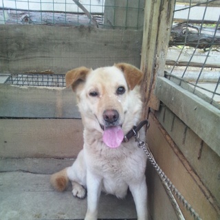 怖がりさんですが陽気な女の子みかんちゃん