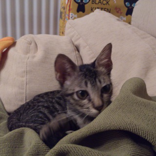 やさしい家族ができました♪