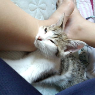 やんちゃで人懐っこい男の子