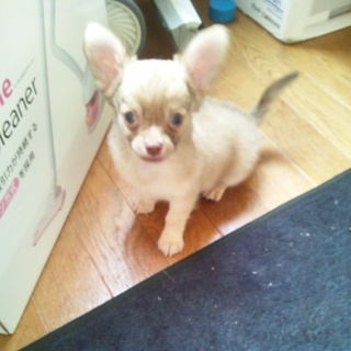 可愛がって下さる方