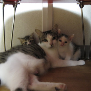 優しいパートナーさんに巡り会えました！！