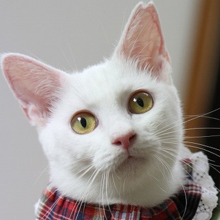 姉妹一緒に幸せになります！ありがとうございました♪