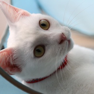 姉妹一緒に幸せになります！ありがとうございました♪