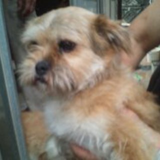 ちゃちゃちゃん