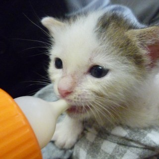 ありがとうございました！