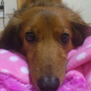 優しいご家族とご縁をいただきました。ありがとうございます。