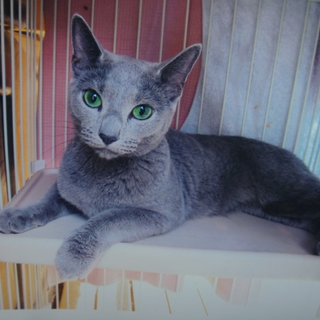 新しいご家族が決まりました