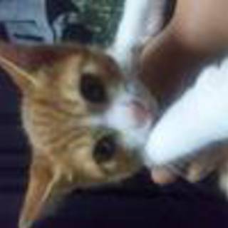 元気いっぱいの可愛い男の子です！