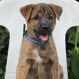 有難うございました。とても良い方と御縁がありました。