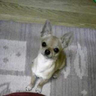 里親募集してます！