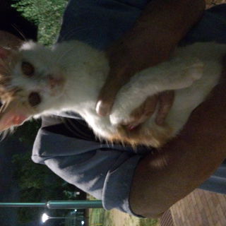 幸せになりたい