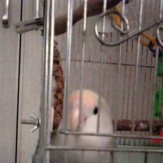 沢山のお問い合わせありがとうございました