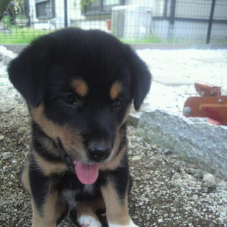 温かい家族の所で暮らしています