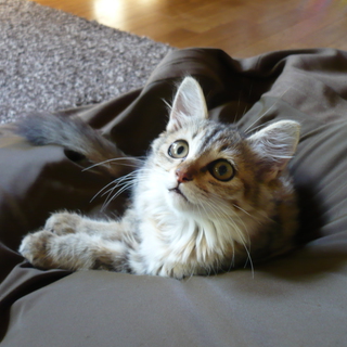 沢山のお問い合わせありがとう御座いました