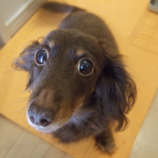 たくさんのご応募ありがとうございました（感謝）