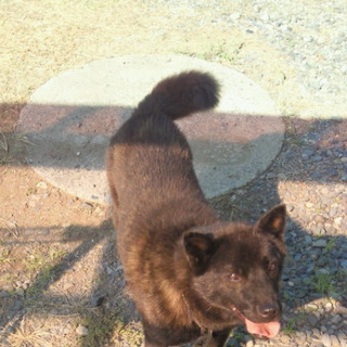 お待ちしています