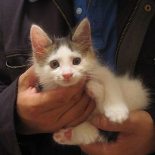 もふもふサンシローありがとうございました＾＾