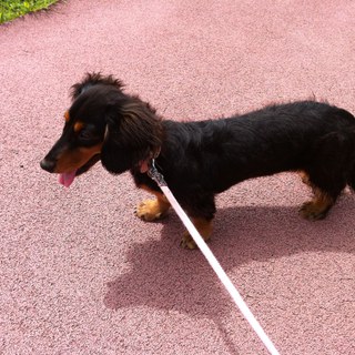 一時募集停止しています